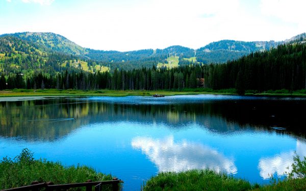 cool lake names