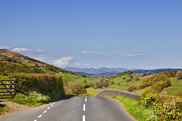 road names