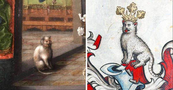 medieval cat names