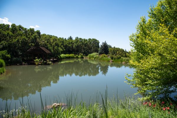 pond name ideas